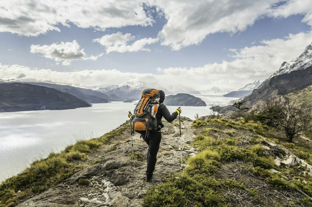 Rear view of female hiker hiking alongside Grey glacier lake, Torres del Paine National Park, Chile